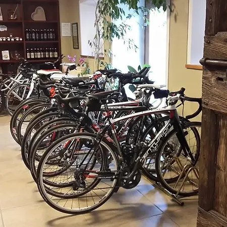 阿勒普拉兹农家乐 * Prata Camportaccio