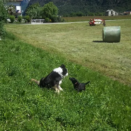 阿勒普拉兹农家乐 *