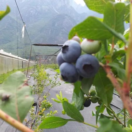 阿勒普拉兹农家乐 农家乐