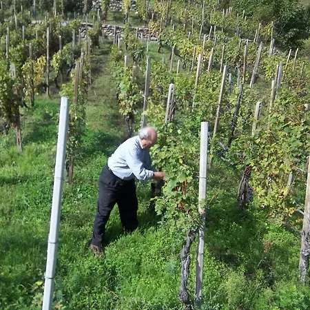 农家乐 阿勒普拉兹农家乐 Prata Camportaccio