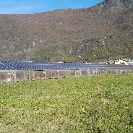 Farm stay Al Palaz
